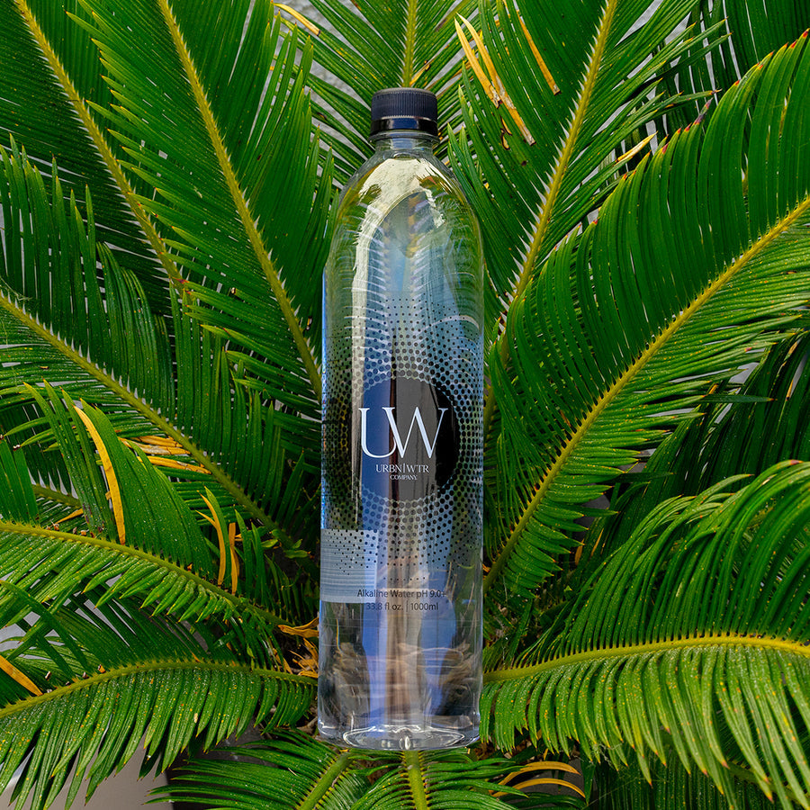 1L. Alkaline Water Bottle
